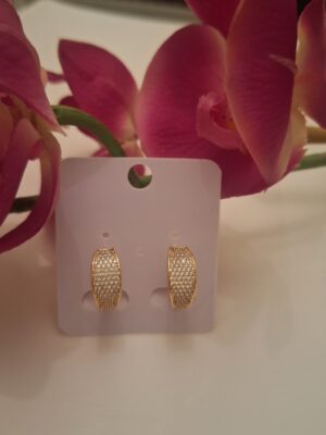 Zircon Ear Studs