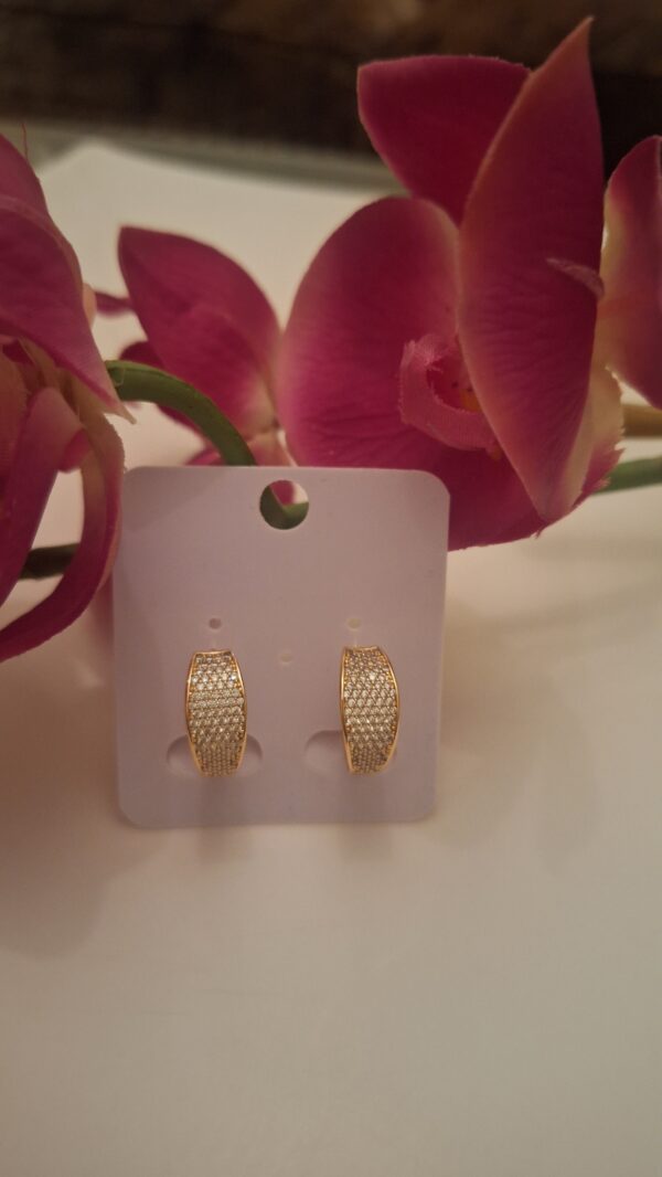 Zircon Ear Studs